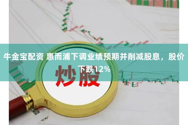牛金宝配资 惠而浦下调业绩预期并削减股息，股价下跌12%