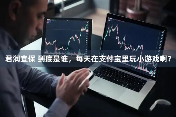 君润宜保 到底是谁，每天在支付宝里玩小游戏啊？